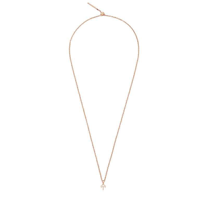 Crystal Zodiac Charm Rose Gold