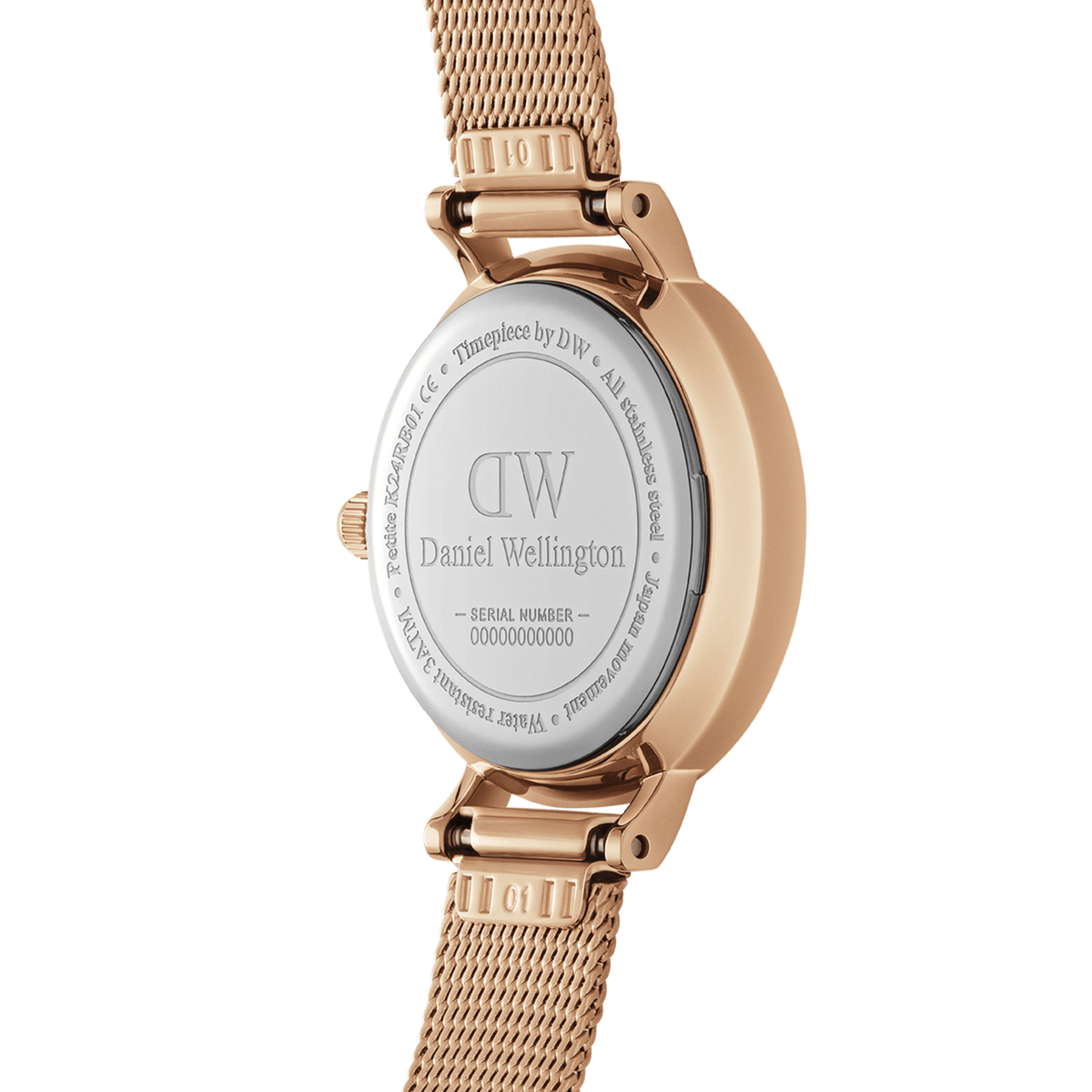 Dw watch 2025 classic petite