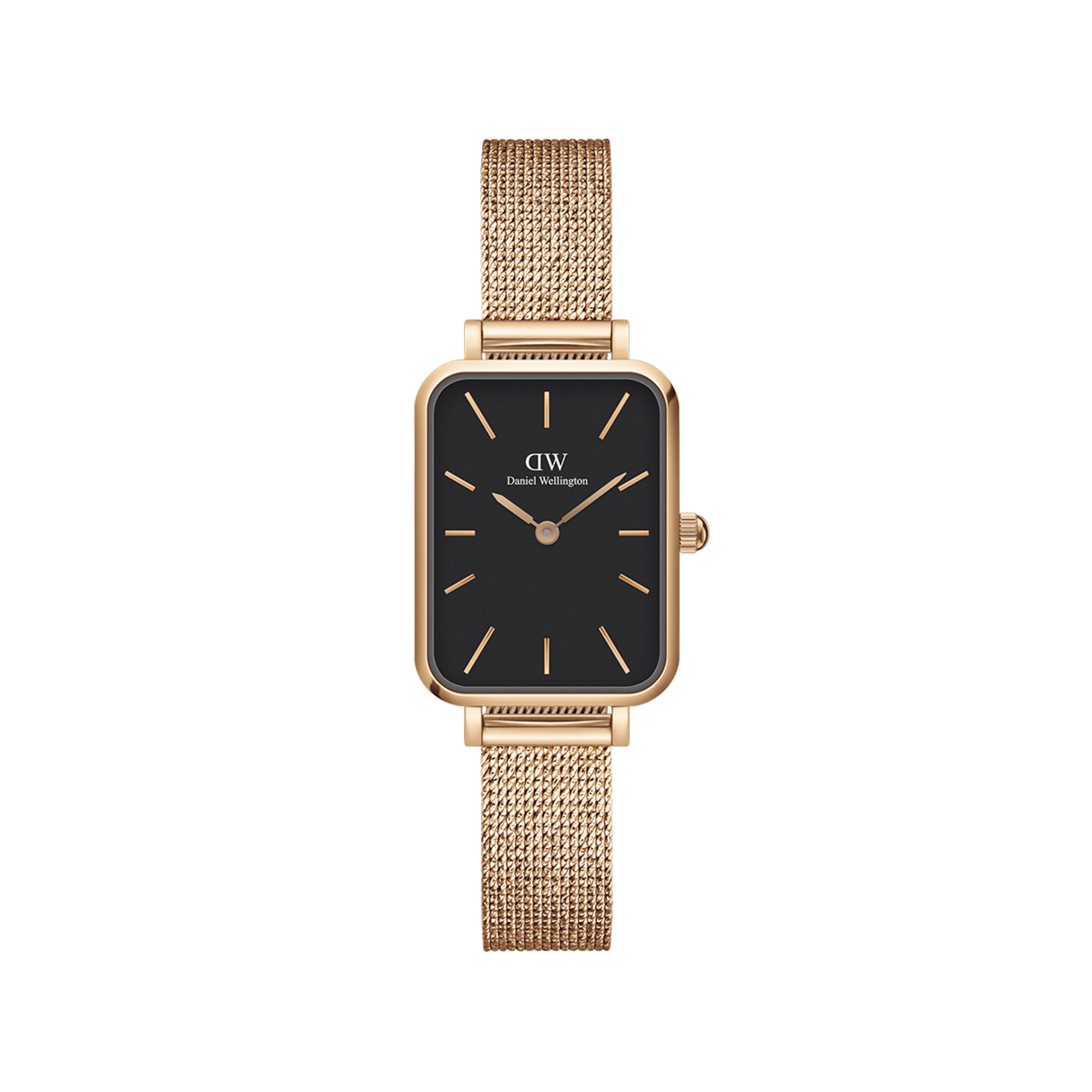 Dw watch black rose gold online