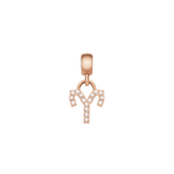 Crystal Zodiac Charm Rose Gold