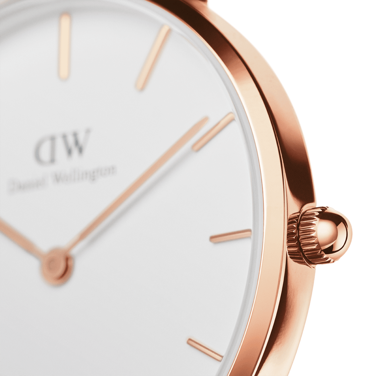 Daniel Wellington Petite Bondi 28mm Watch DW00100249