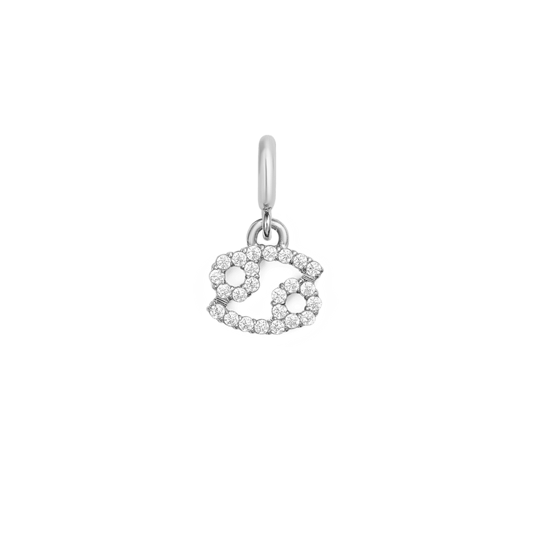 Zodiac Watch Charm Silver