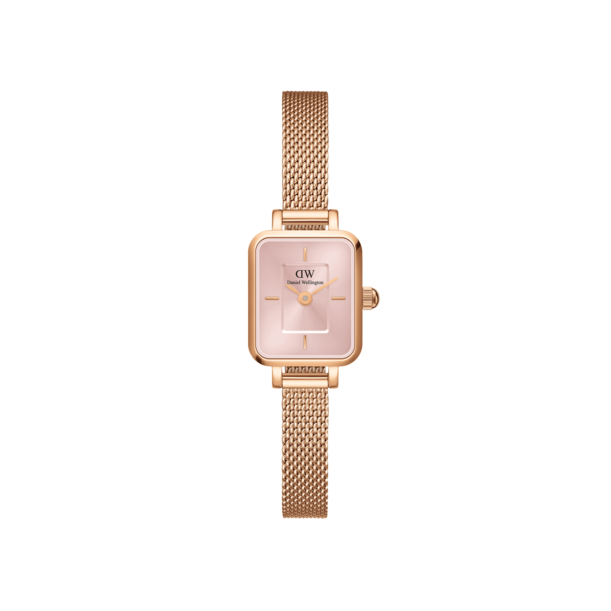 Dw watch sale female